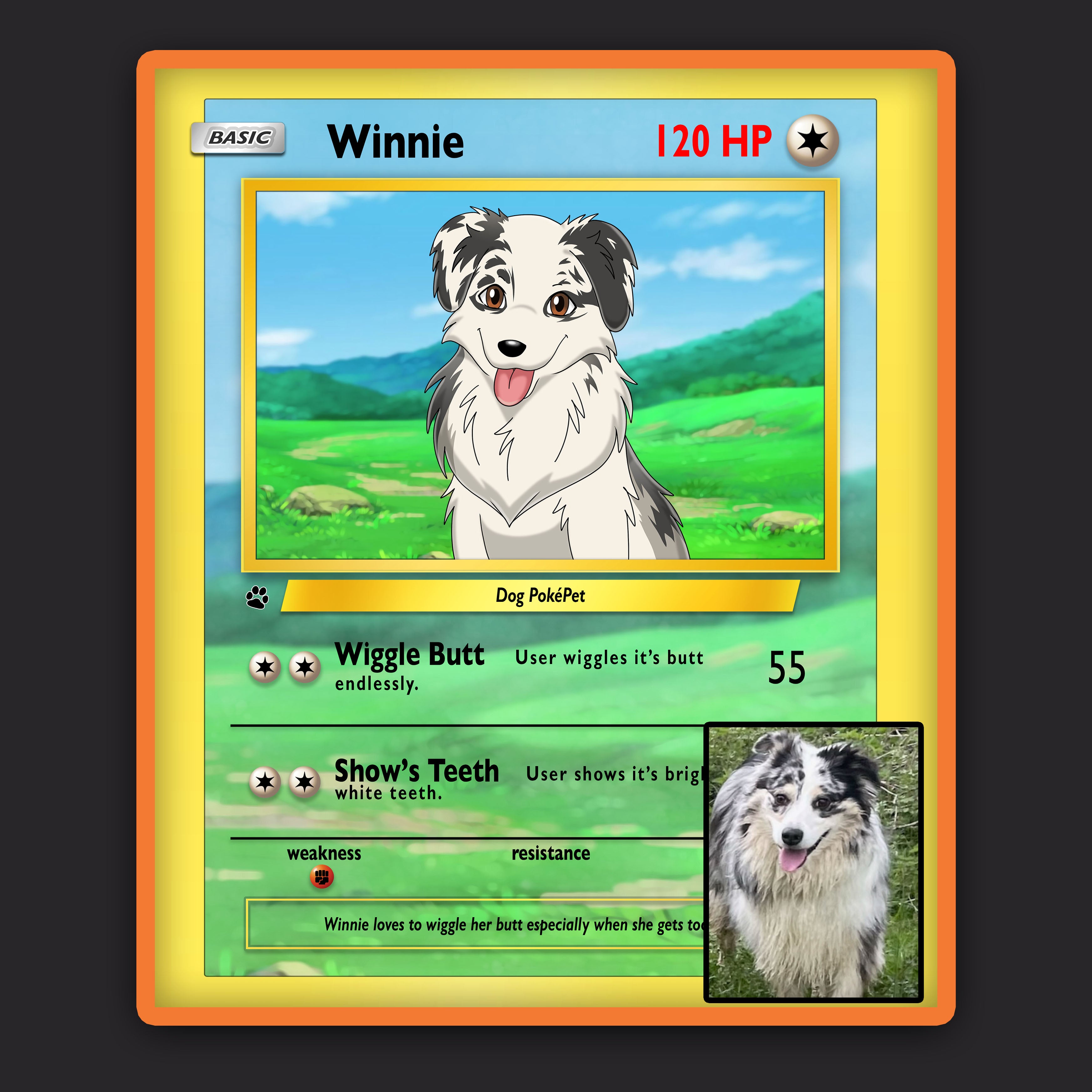 Pokemon Hand Drawn Pet Portraits The Anime Portrait Shop Pokemon Hand Drawn Pet Portraits The Anime Portrait Shop