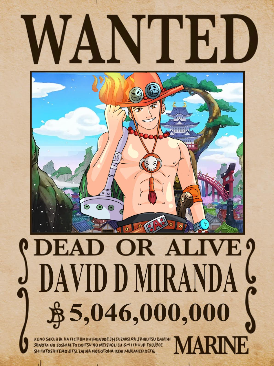 One-Piece Wanted Poster Portrait