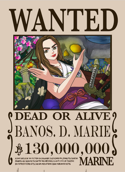 One-Piece Wanted Poster Portrait