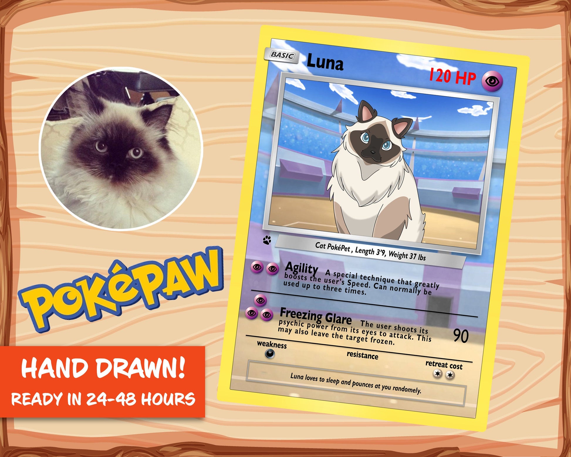 Pokemon Hand Drawn Pet Portraits The Anime Portrait Shop Pokemon Hand Drawn Pet Portraits The Anime Portrait Shop
