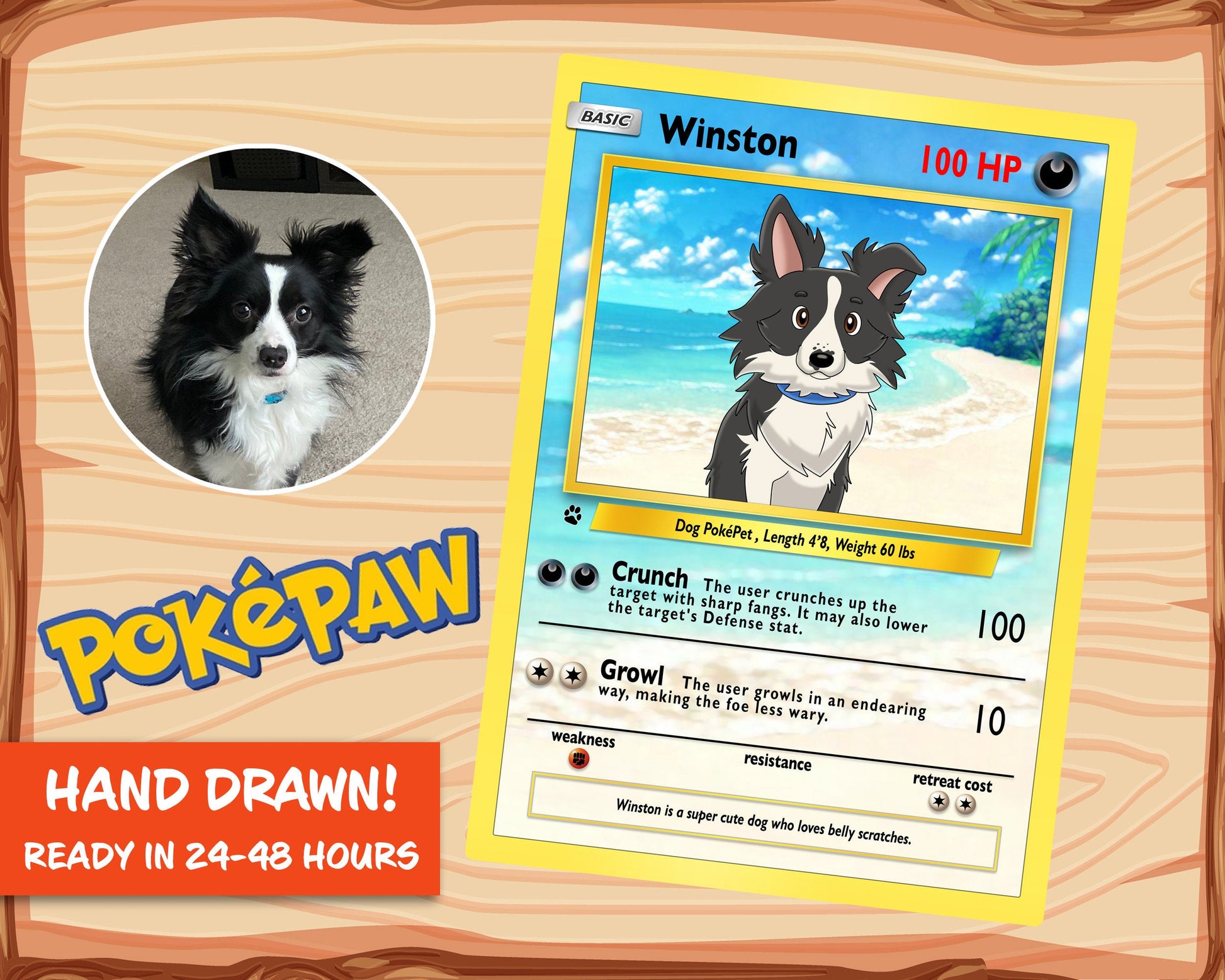Pokemon Hand Drawn Pet Portraits The Anime Portrait Shop Pokemon Hand Drawn Pet Portraits The Anime Portrait Shop